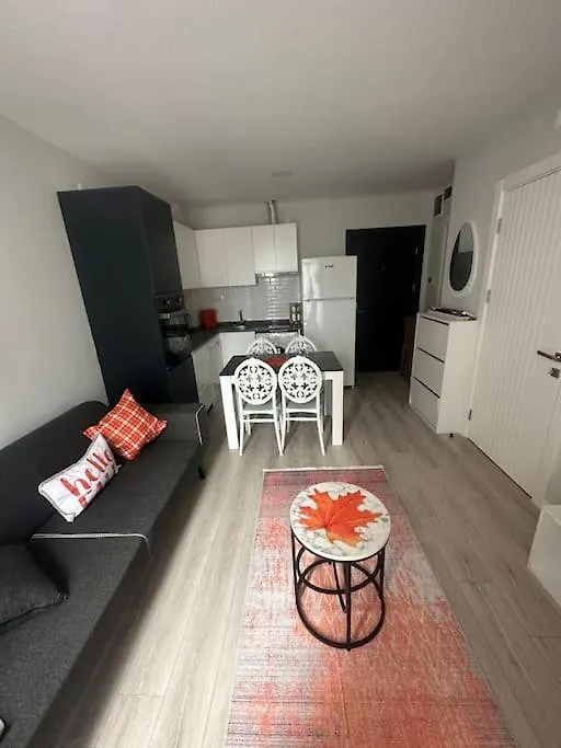 Apartmán Havalimani Ve Avm Yakini Havuzlu Lux1+1 Ozel Fiyat Antalya 0*,